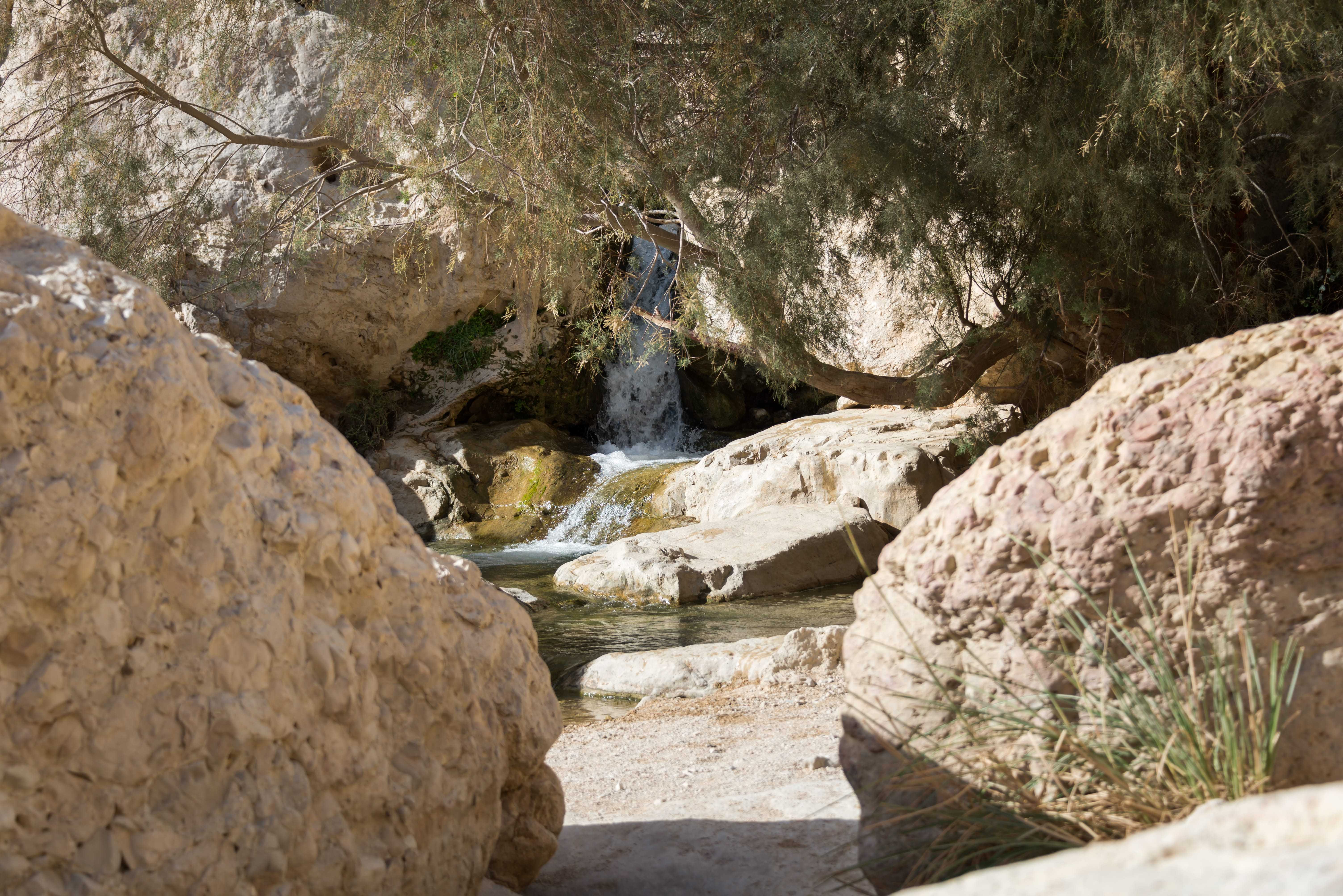 Ein Gedi National Park During Winters