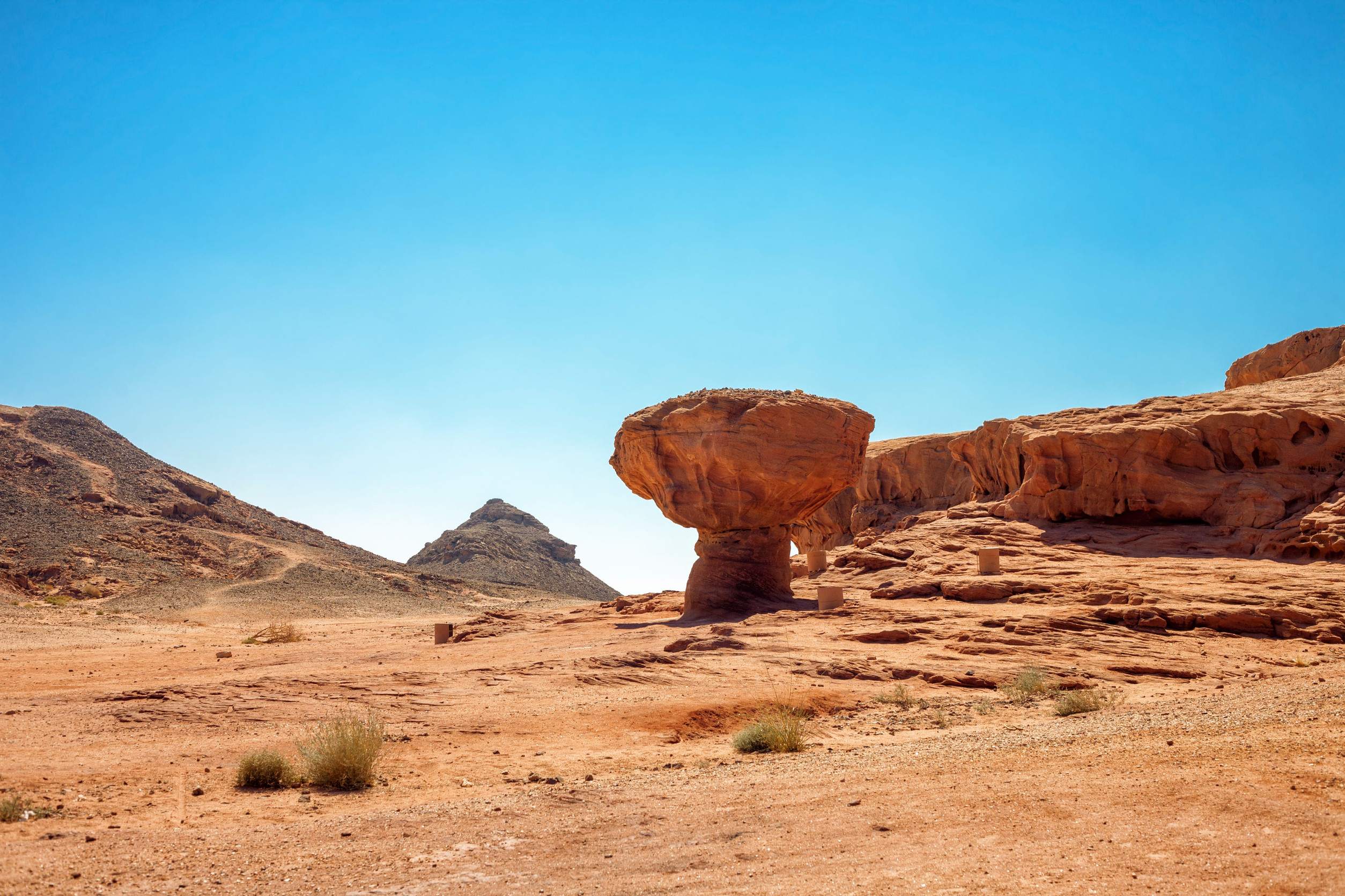 Mushroom Rock Formation At Timna Park Israel