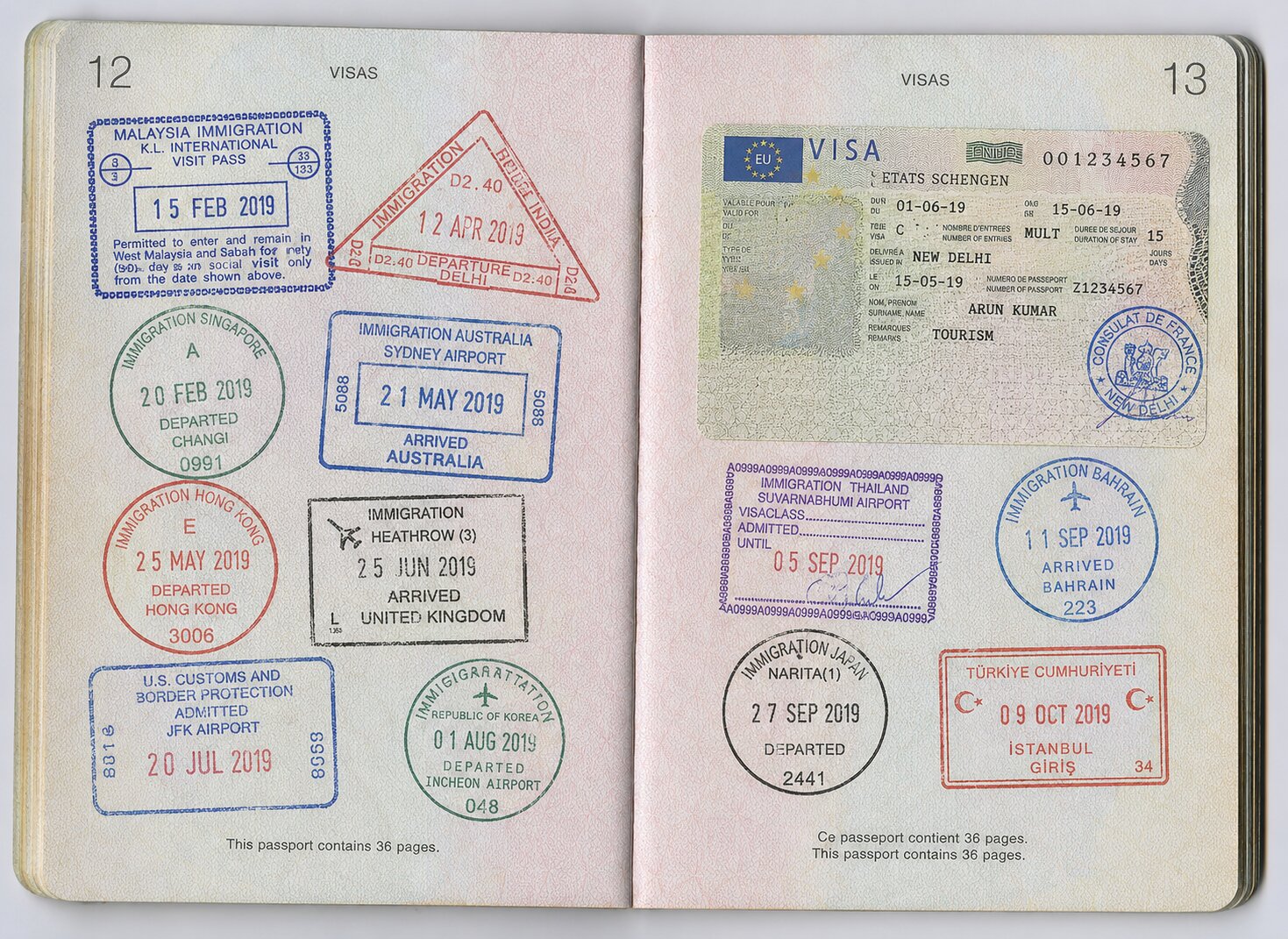 Passport Visa Pages With Travel Stamps